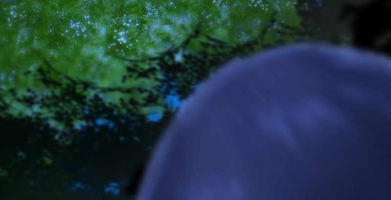堕玄师韩漫全集-第207话：楚越VS西泽尔（上）无删减无遮挡章节图片 