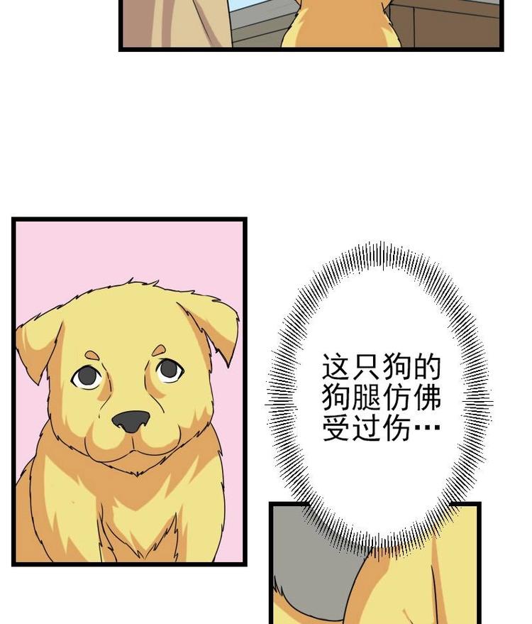 都市神豪系统韩漫全集-第14话 实验无删减无遮挡章节图片 