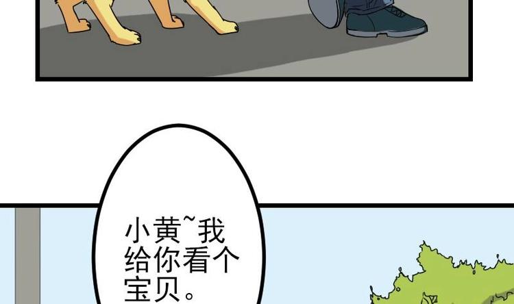 都市神豪系统韩漫全集-第14话 实验无删减无遮挡章节图片 