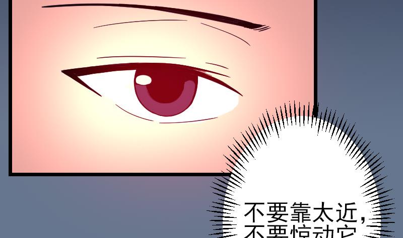 都市神豪系统韩漫全集-第137话 猛禽无删减无遮挡章节图片 