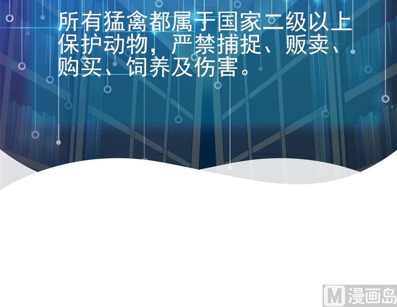 都市神豪系统韩漫全集-第137话 猛禽无删减无遮挡章节图片 