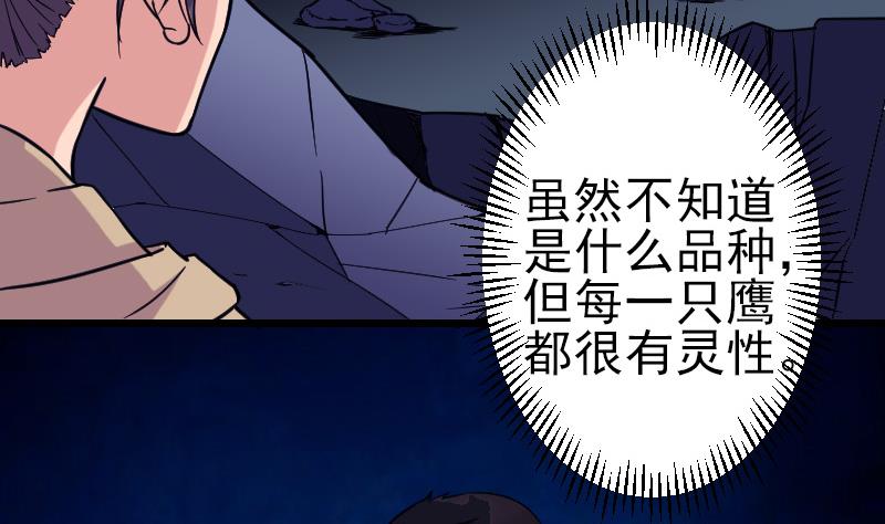 都市神豪系统韩漫全集-第137话 猛禽无删减无遮挡章节图片 
