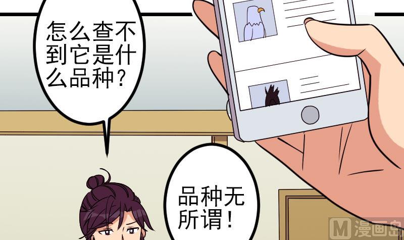 都市神豪系统韩漫全集-第139话 奇观无删减无遮挡章节图片 