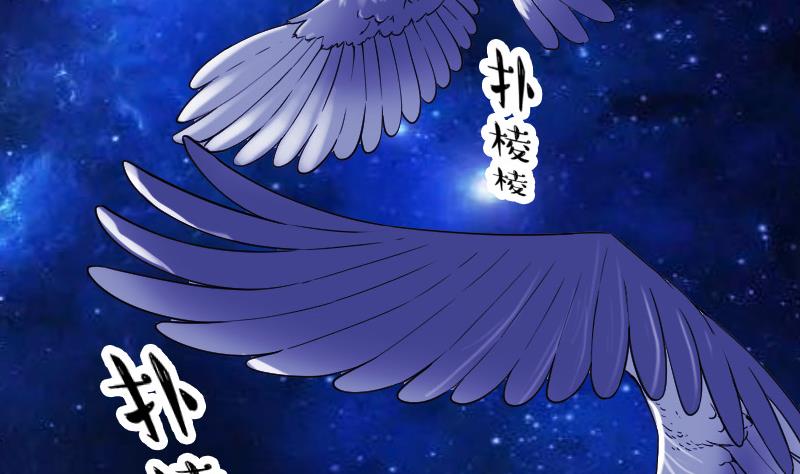都市神豪系统韩漫全集-第171话 试驾无删减无遮挡章节图片 