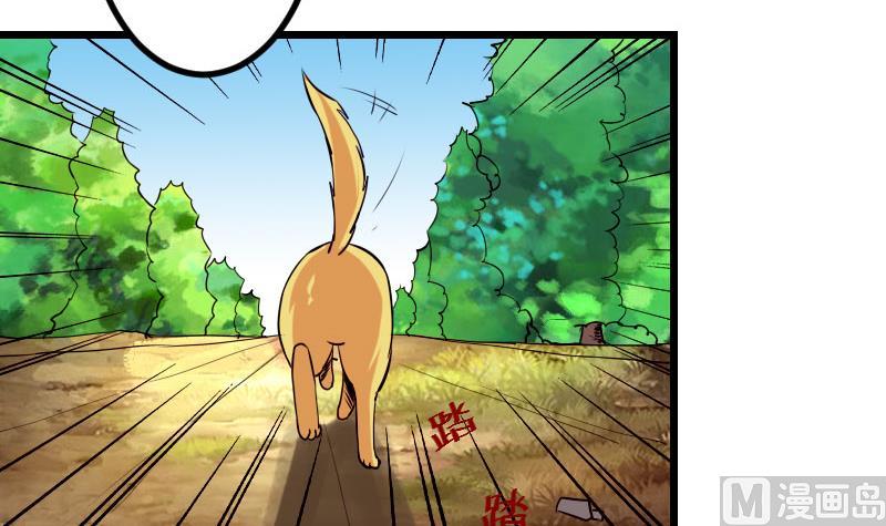 都市神豪系统韩漫全集-第48话 放生无删减无遮挡章节图片 