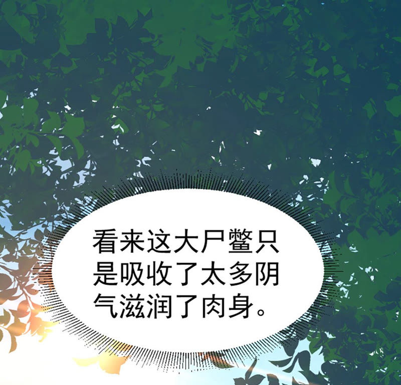 都市仙帝：龙王殿韩漫全集-第22话 击杀无删减无遮挡章节图片 