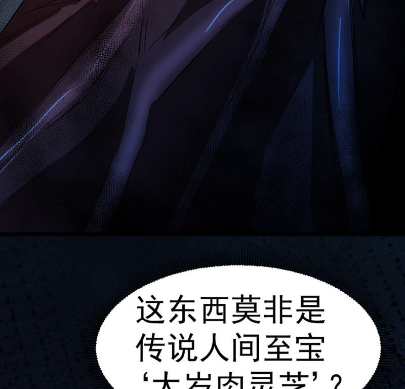 都市仙帝：龙王殿韩漫全集-第23话 血灵芝无删减无遮挡章节图片 