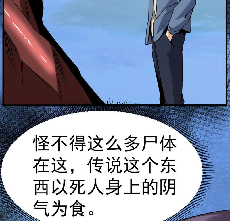 都市仙帝：龙王殿韩漫全集-第23话 血灵芝无删减无遮挡章节图片 