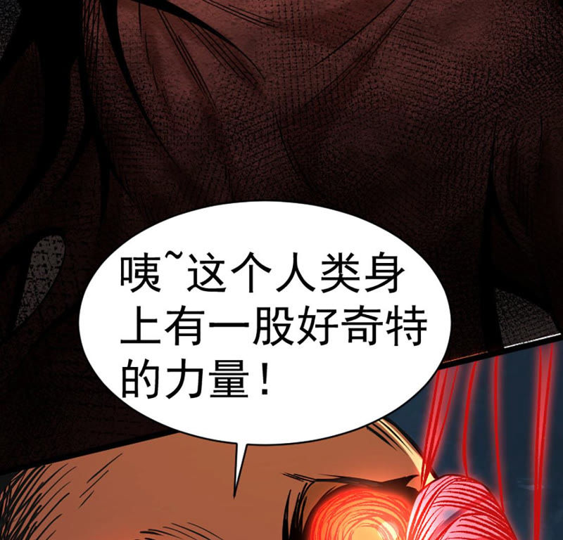都市仙帝：龙王殿韩漫全集-第23话 血灵芝无删减无遮挡章节图片 