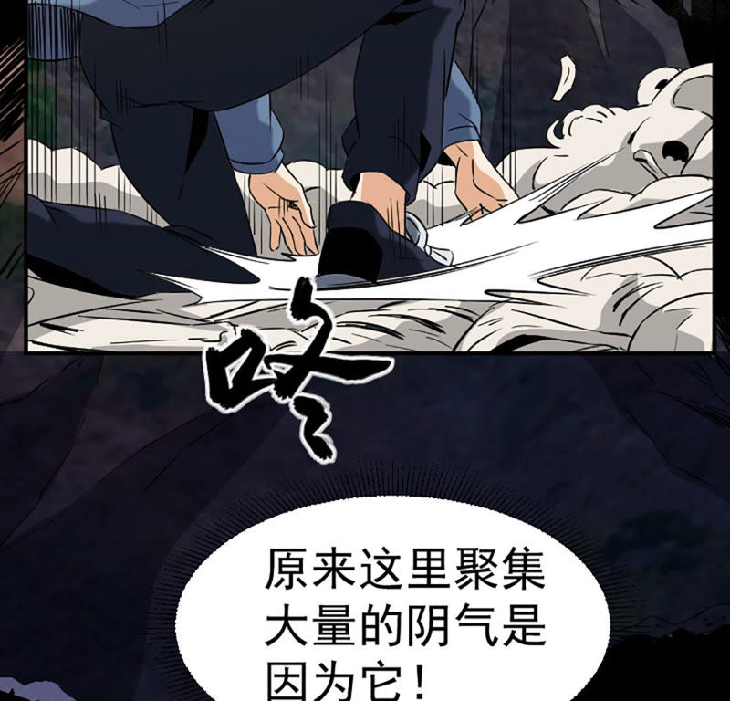 都市仙帝：龙王殿韩漫全集-第23话 血灵芝无删减无遮挡章节图片 