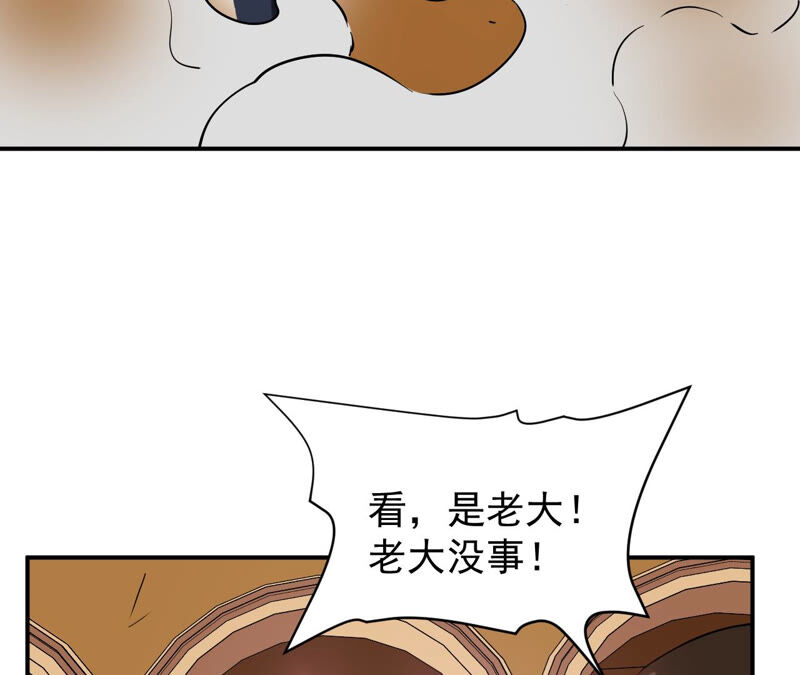 都市仙帝：龙王殿韩漫全集-第44话 对决！无删减无遮挡章节图片 