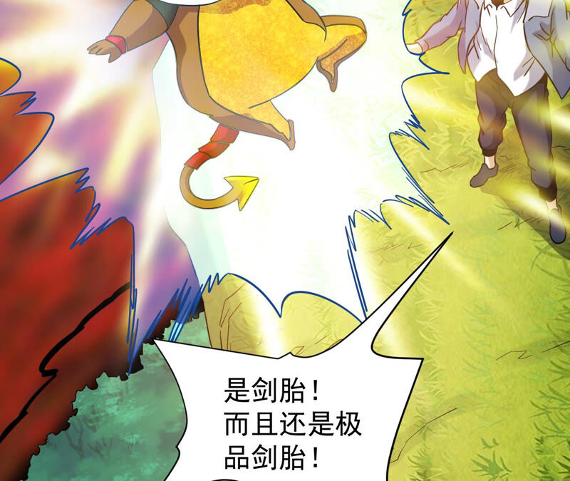 都市仙帝：龙王殿韩漫全集-第48话 剑胎无删减无遮挡章节图片 