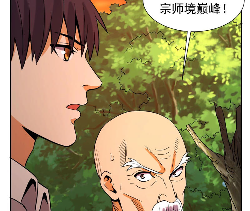 都市仙帝：龙王殿韩漫全集-第49话 巅峰宗师境无删减无遮挡章节图片 