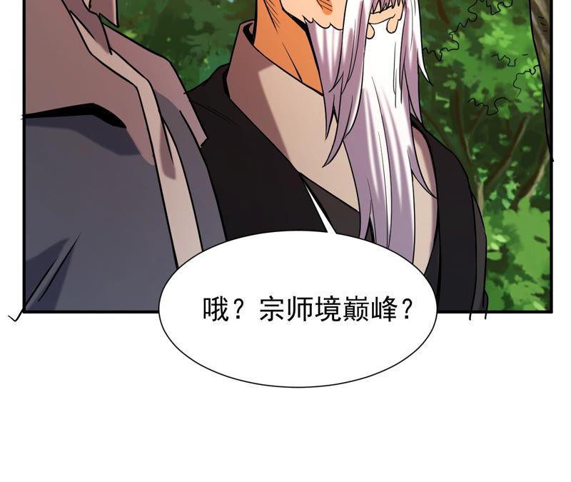 都市仙帝：龙王殿韩漫全集-第49话 巅峰宗师境无删减无遮挡章节图片 