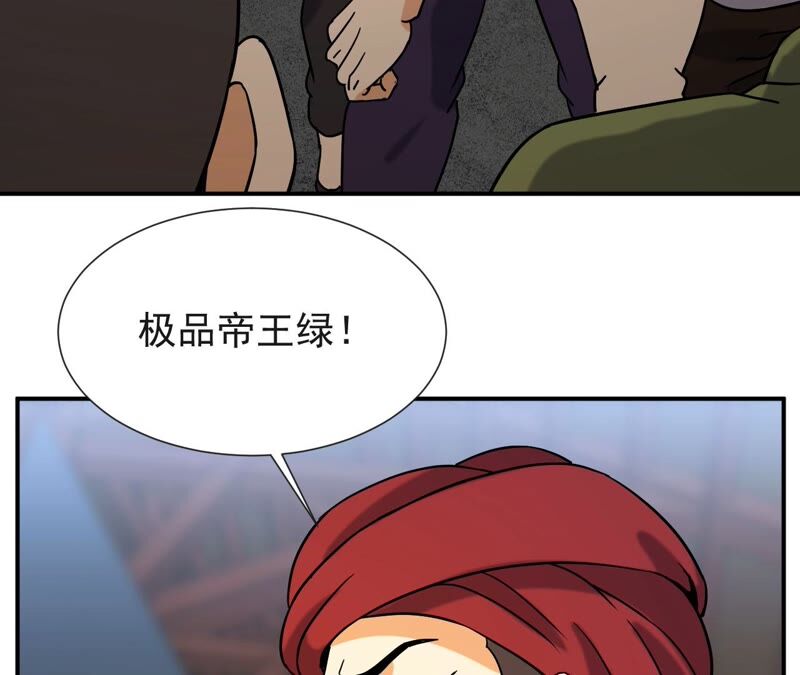 都市仙帝：龙王殿韩漫全集-第64话 赌石场无删减无遮挡章节图片 