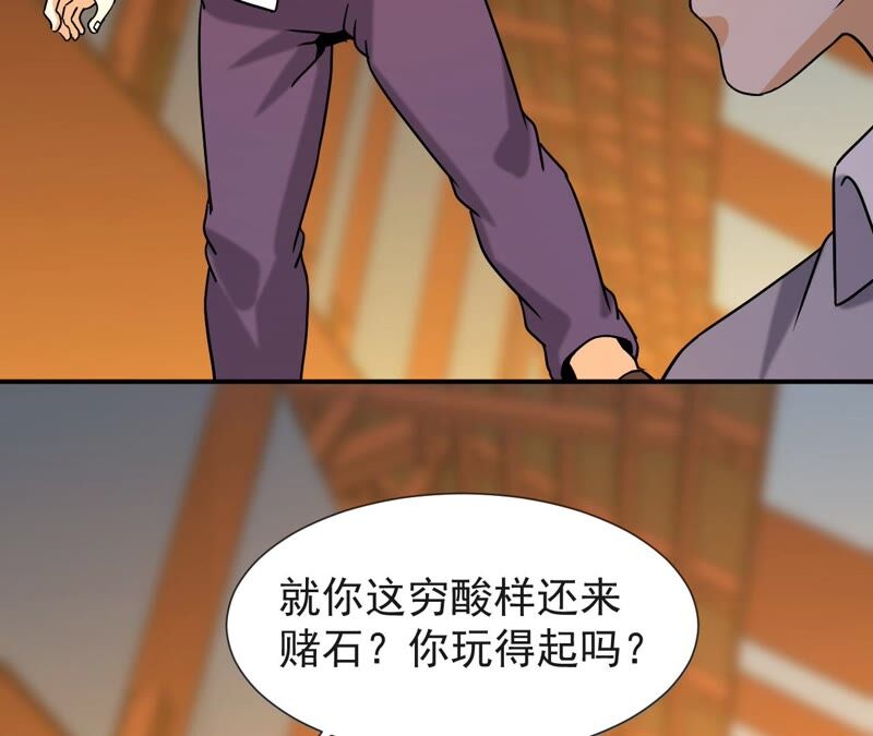 都市仙帝：龙王殿韩漫全集-第64话 赌石场无删减无遮挡章节图片 