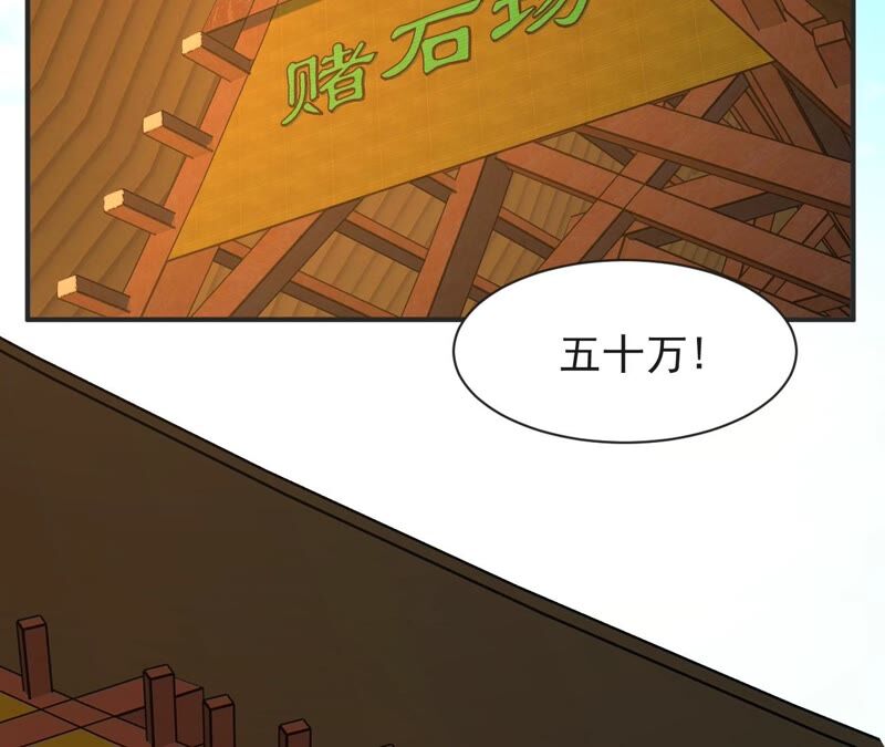 都市仙帝：龙王殿韩漫全集-第64话 赌石场无删减无遮挡章节图片 