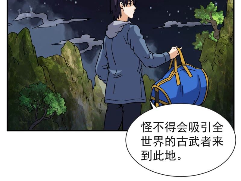 都市仙帝：龙王殿韩漫全集-第73话 聚灵大阵无删减无遮挡章节图片 