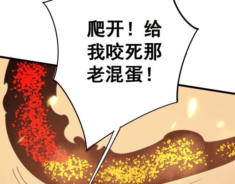 毒手巫医韩漫全集-第116话 猪油燃烧弹无删减无遮挡章节图片 