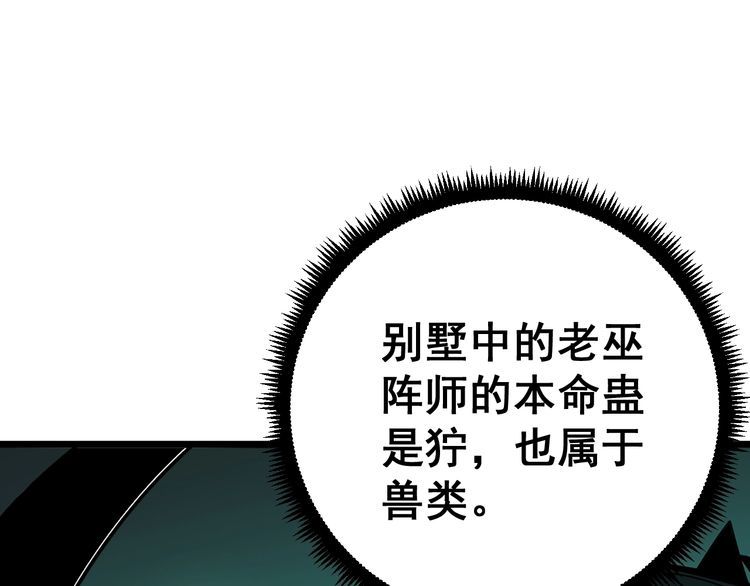 毒手巫医韩漫全集-第119话 本命蛊无删减无遮挡章节图片 