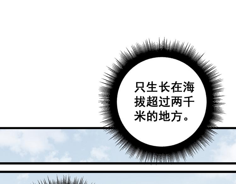 毒手巫医韩漫全集-第150话 旧相识无删减无遮挡章节图片 