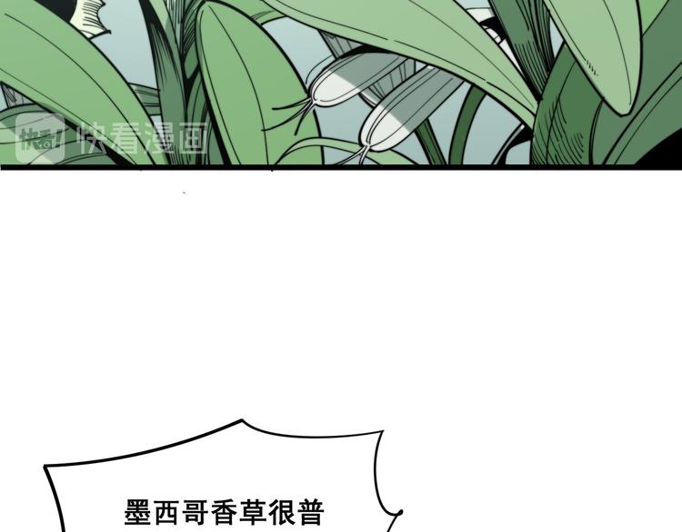 毒手巫医韩漫全集-第154话 神秘香草无删减无遮挡章节图片 
