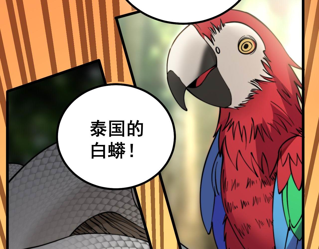 毒手巫医韩漫全集-第273话 风水大师无删减无遮挡章节图片 