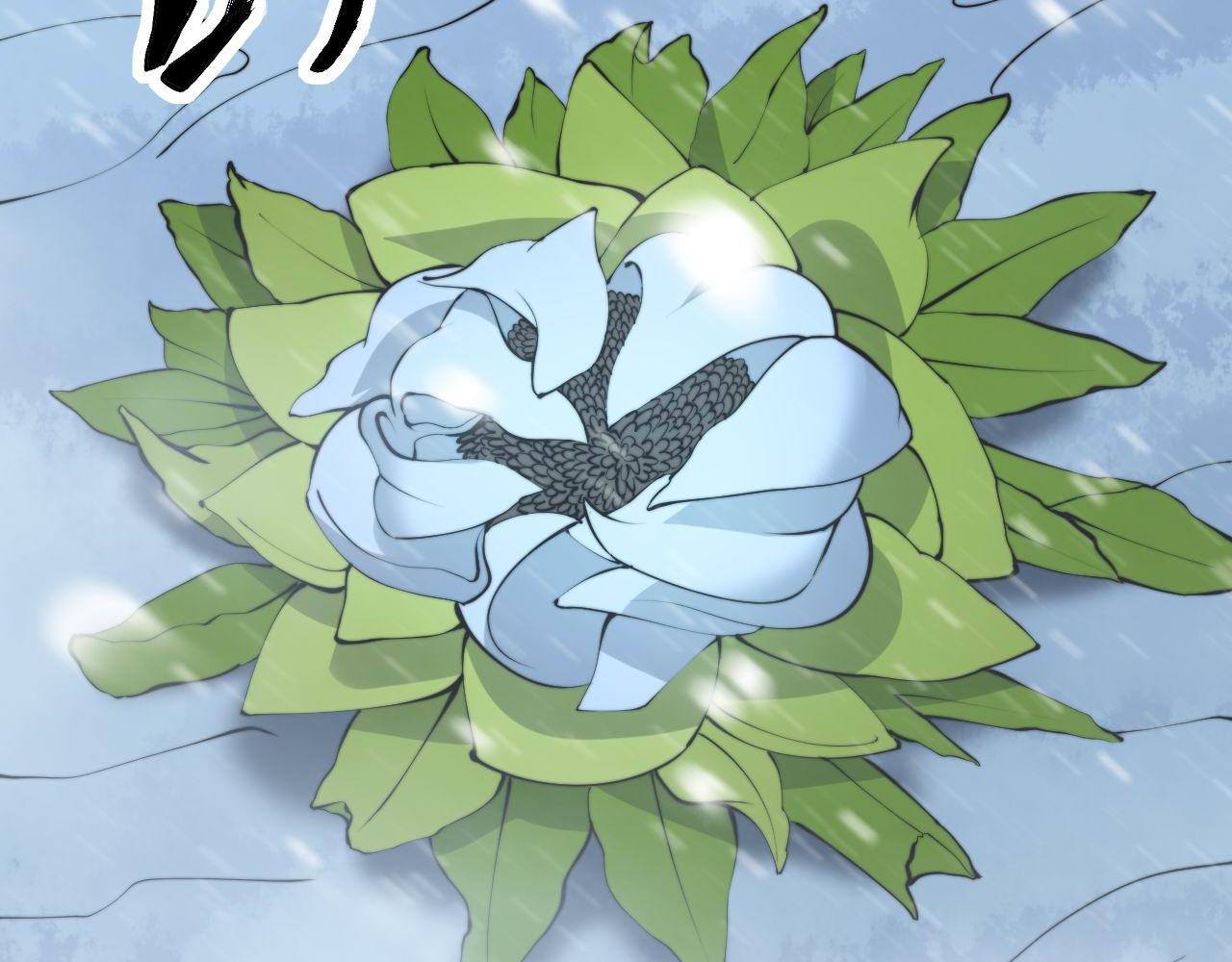 毒手巫医韩漫全集-第295话 雪花飘飘无删减无遮挡章节图片 