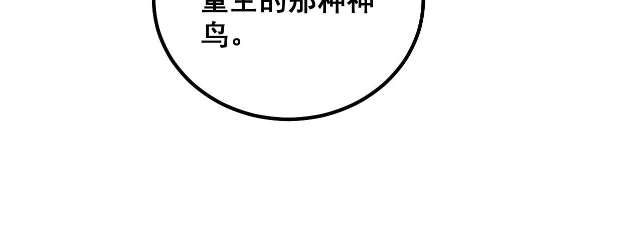 毒手巫医韩漫全集-第299话 秃头无删减无遮挡章节图片 