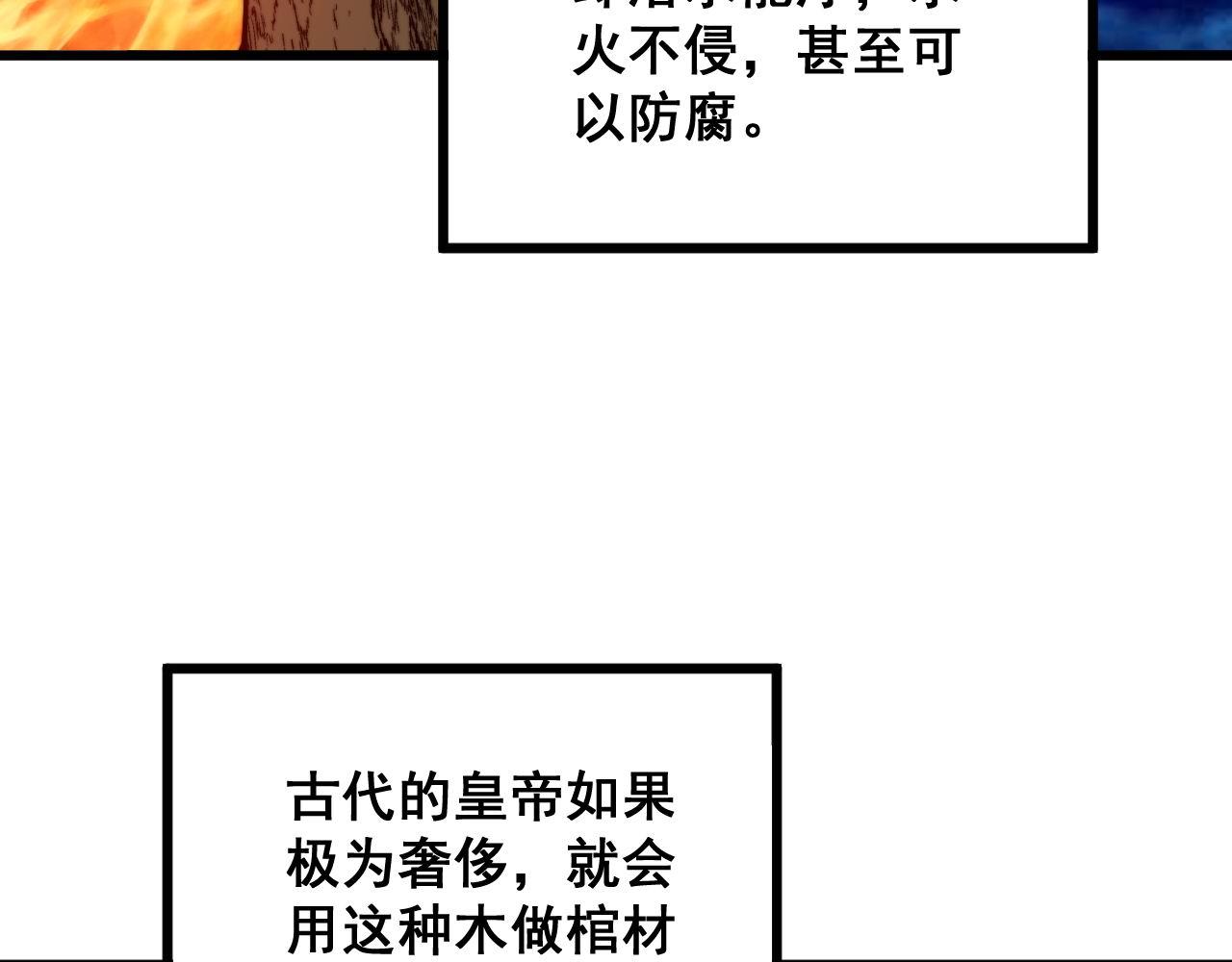 毒手巫医韩漫全集-第300话 神木无删减无遮挡章节图片 