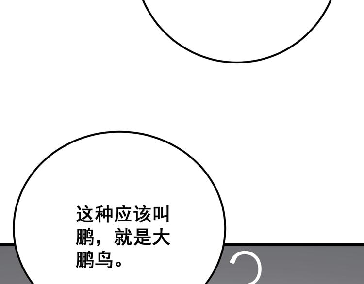 毒手巫医韩漫全集-第50话 雕兄无删减无遮挡章节图片 