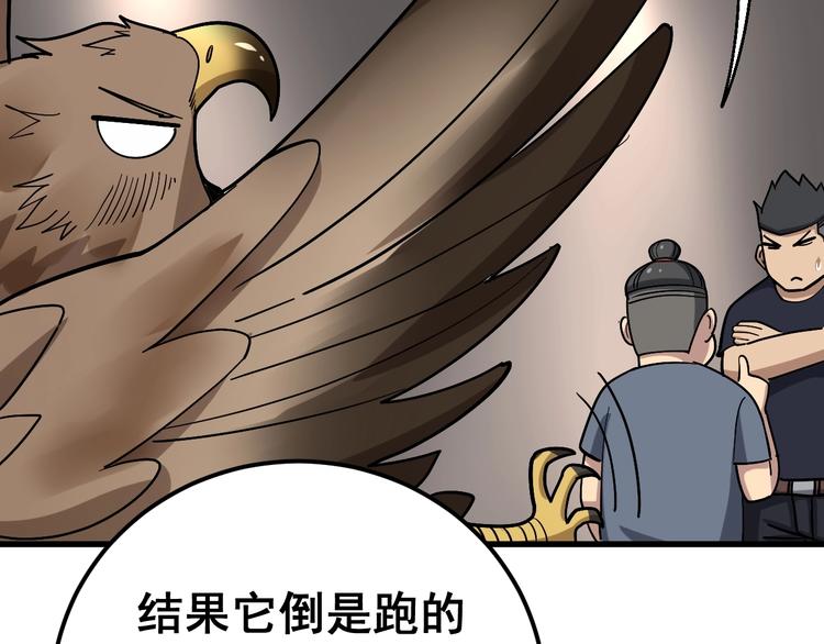 毒手巫医韩漫全集-第50话 雕兄无删减无遮挡章节图片 