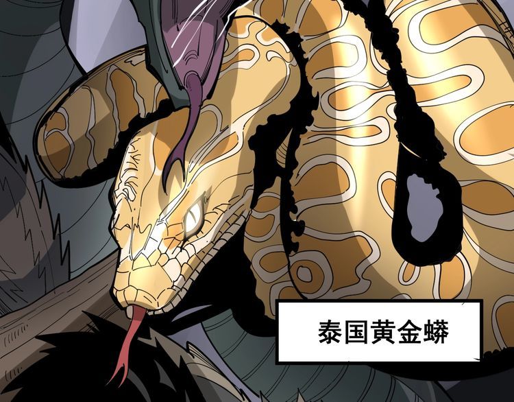 毒手巫医韩漫全集-第91话 准备工作复杂点！无删减无遮挡章节图片 