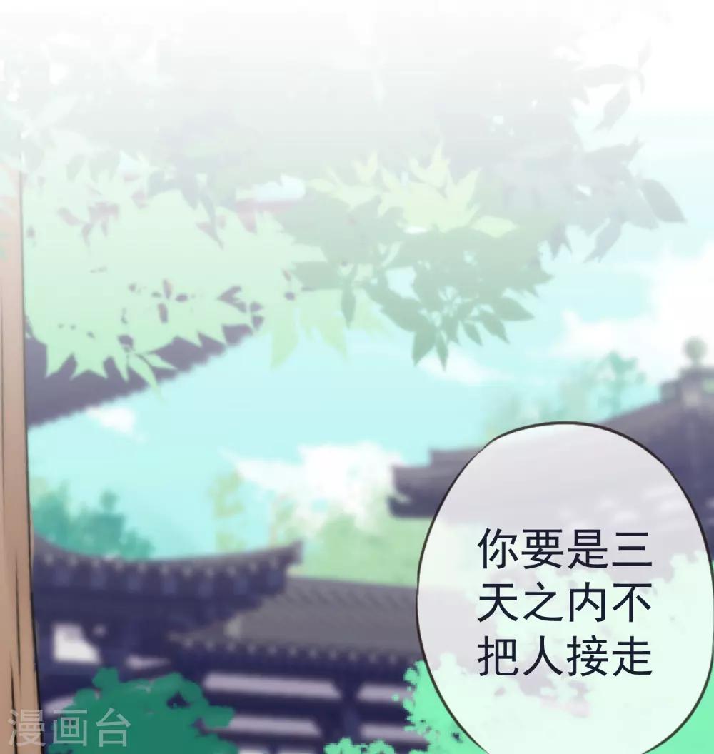 哦，我的宠妃大人韩漫全集-第204话 不见棺材不掉泪无删减无遮挡章节图片 
