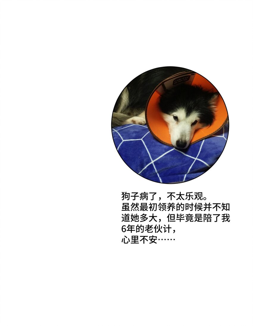 厄运之王韩漫全集-67 黑暗中的遗漏无删减无遮挡章节图片 