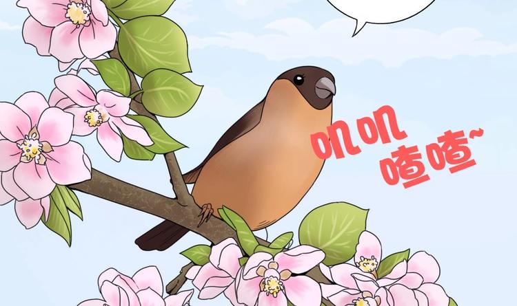 废柴的超能后宫韩漫全集-第4话 决定了！我来当老板！无删减无遮挡章节图片 