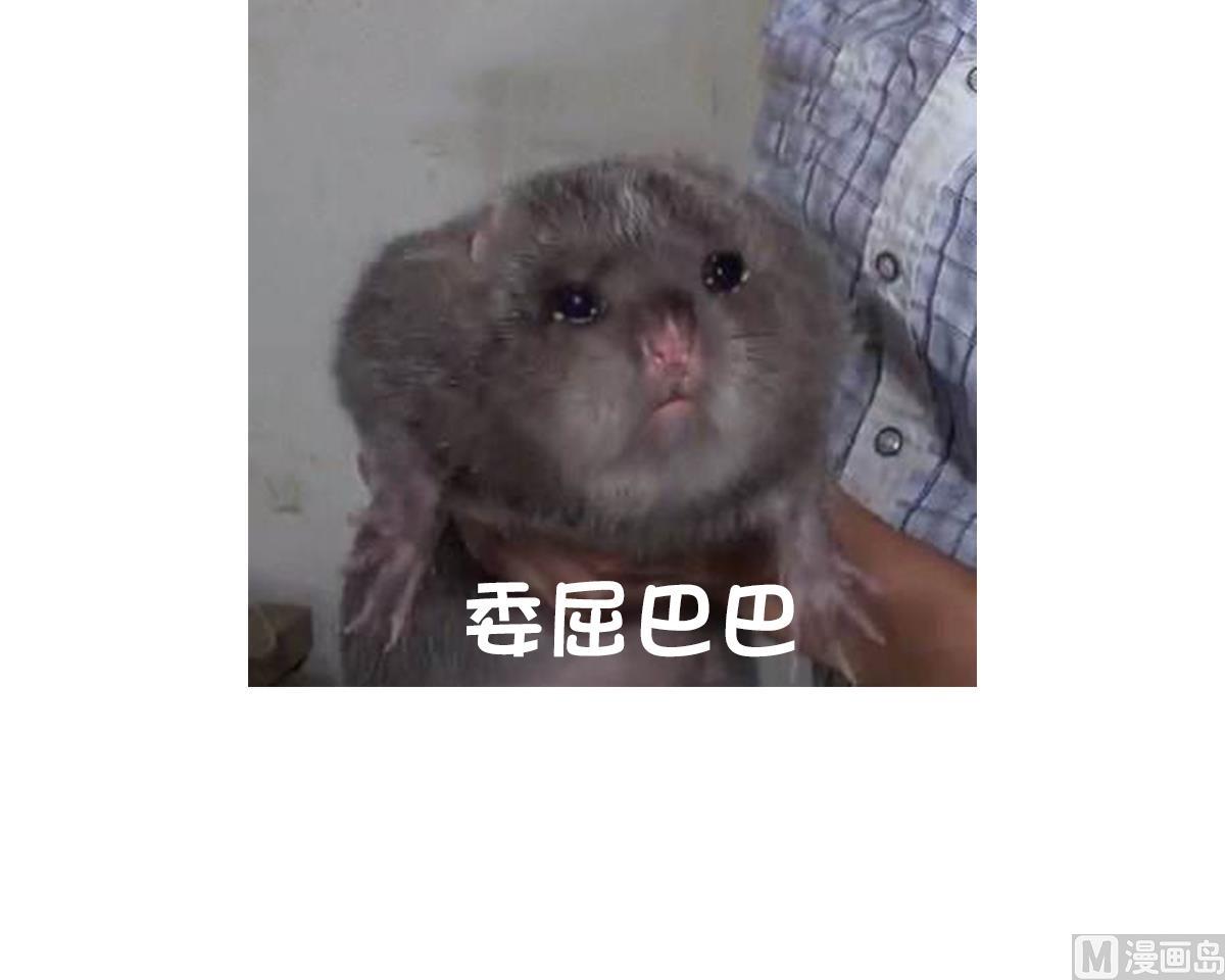 废柴的超能后宫韩漫全集-第45话 漂亮警告无删减无遮挡章节图片 