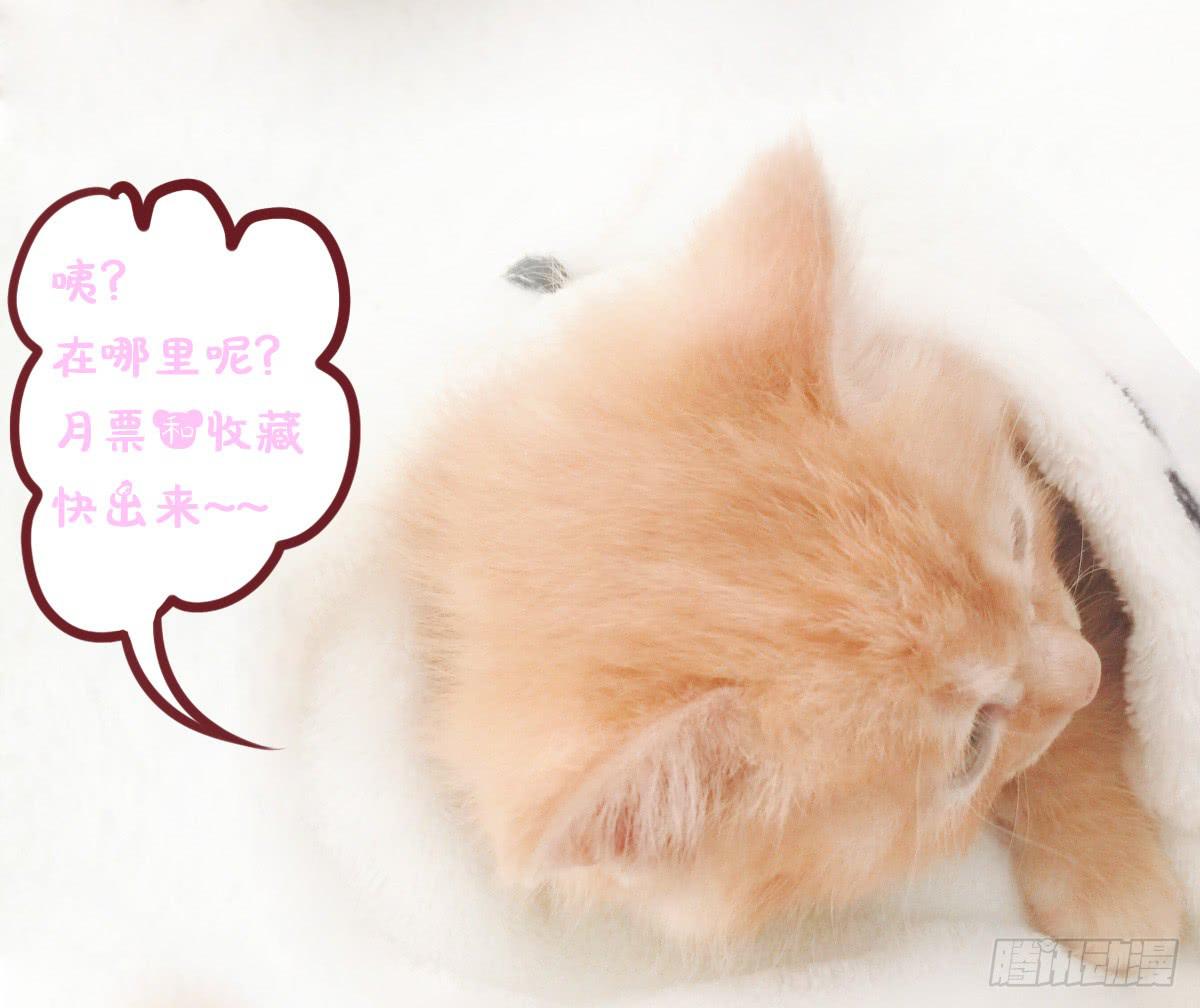 废柴皇帝进化史韩漫全集-老板的秘密无删减无遮挡章节图片 
