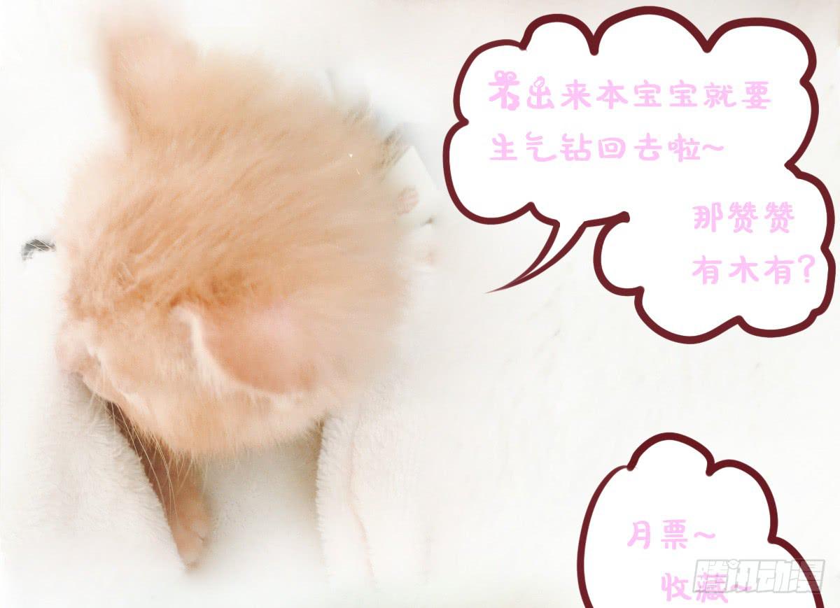 废柴皇帝进化史韩漫全集-老板的秘密无删减无遮挡章节图片 