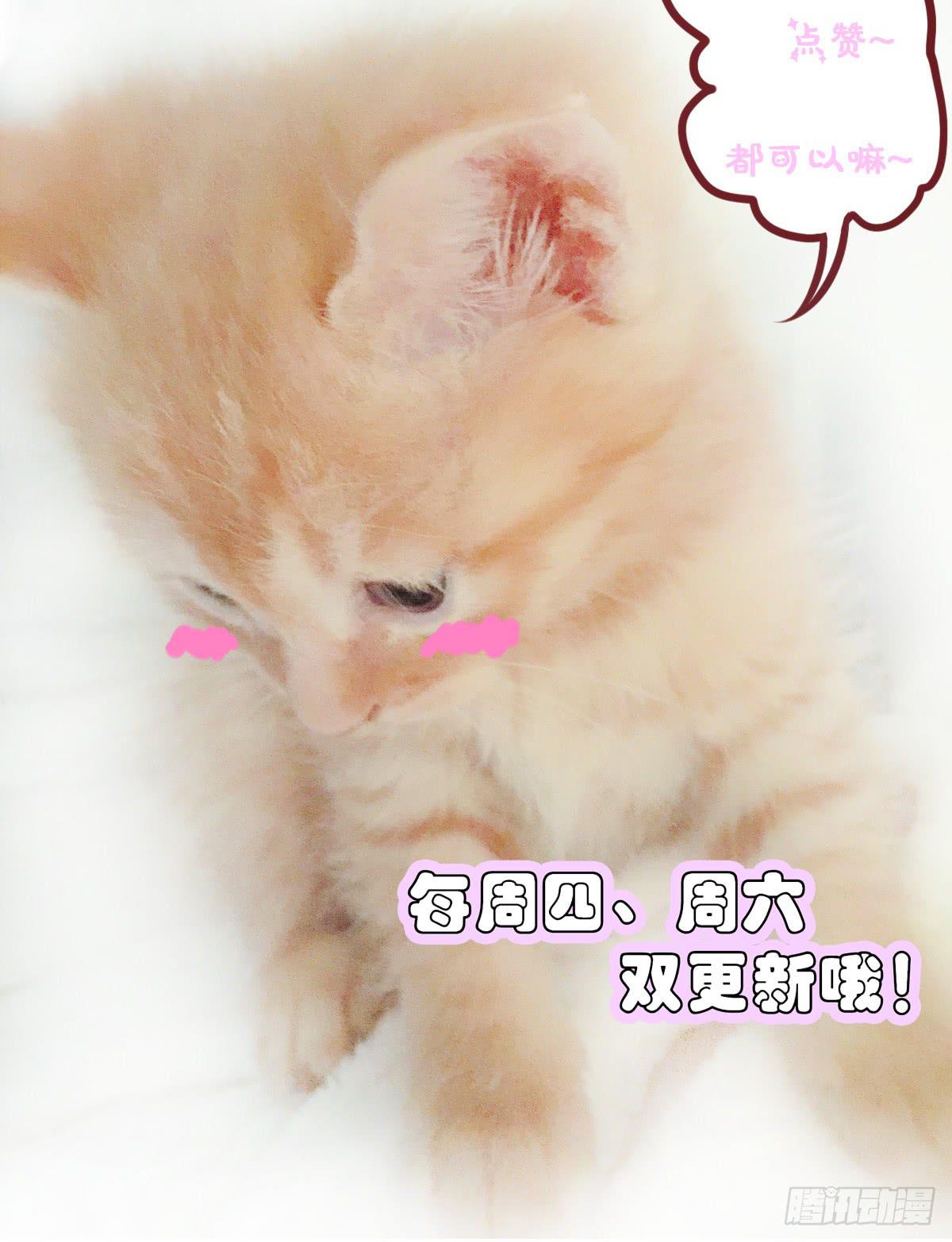 废柴皇帝进化史韩漫全集-强吻情节是什么无删减无遮挡章节图片 