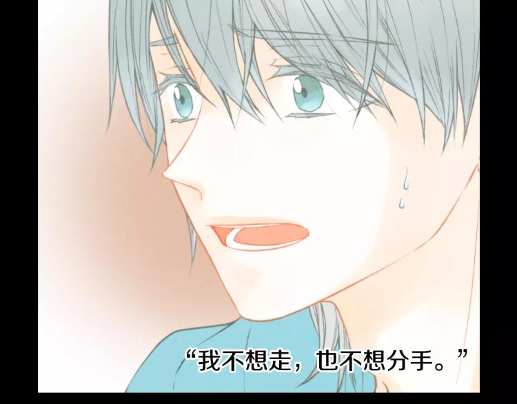 绯闻女一号韩漫全集-第110话 真正的明星无删减无遮挡章节图片 