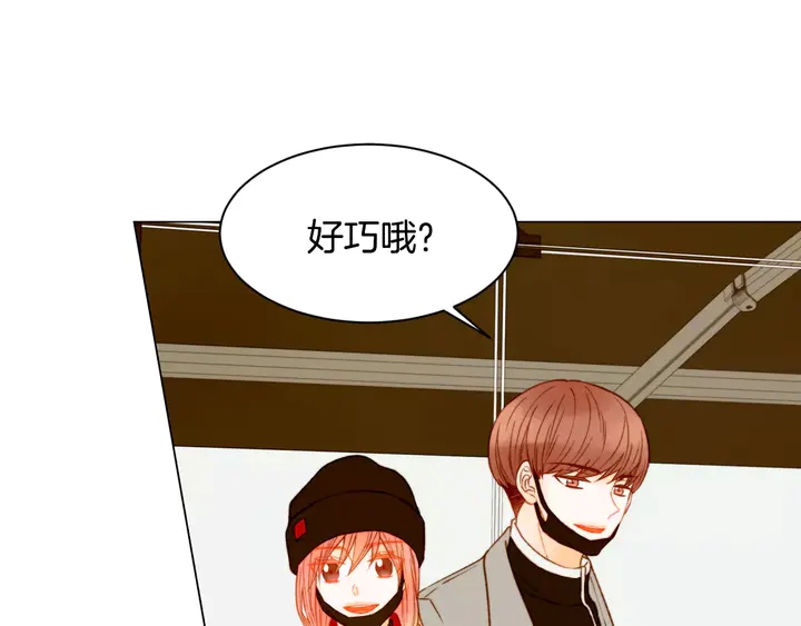 绯闻女一号韩漫全集-第97话 解散？无删减无遮挡章节图片 