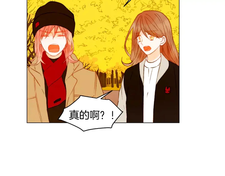 绯闻女一号韩漫全集-第97话 解散？无删减无遮挡章节图片 