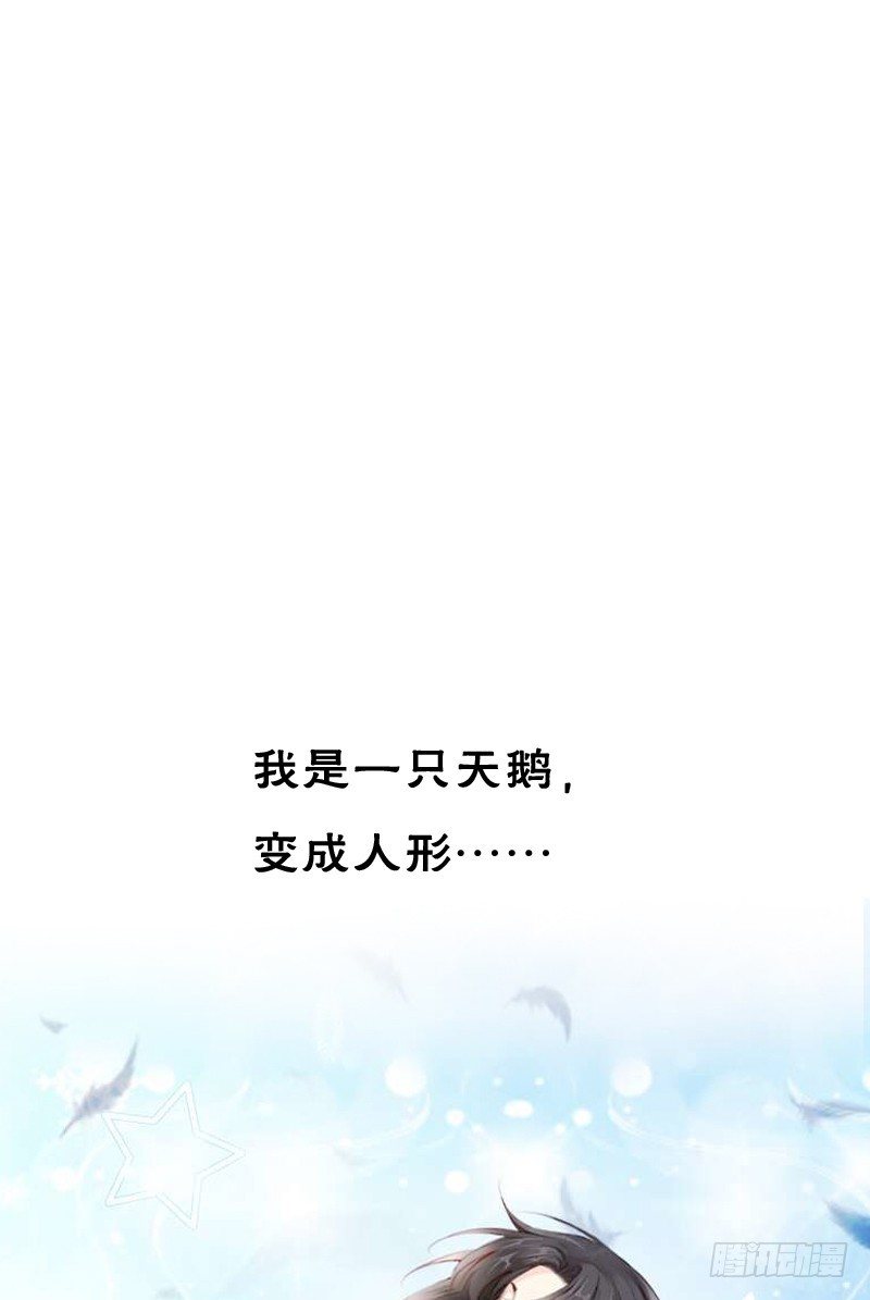 飞越千山来爱你韩漫全集-预告：飞越千山命中注定无删减无遮挡章节图片 