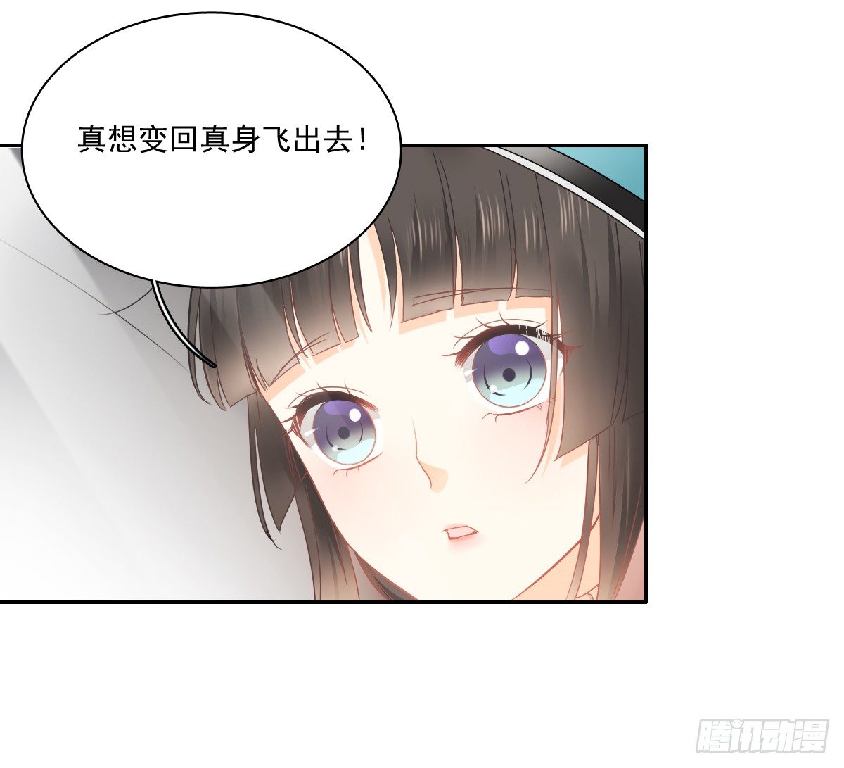 飞越千山来爱你韩漫全集-世界再大，我的眼里只有你无删减无遮挡章节图片 