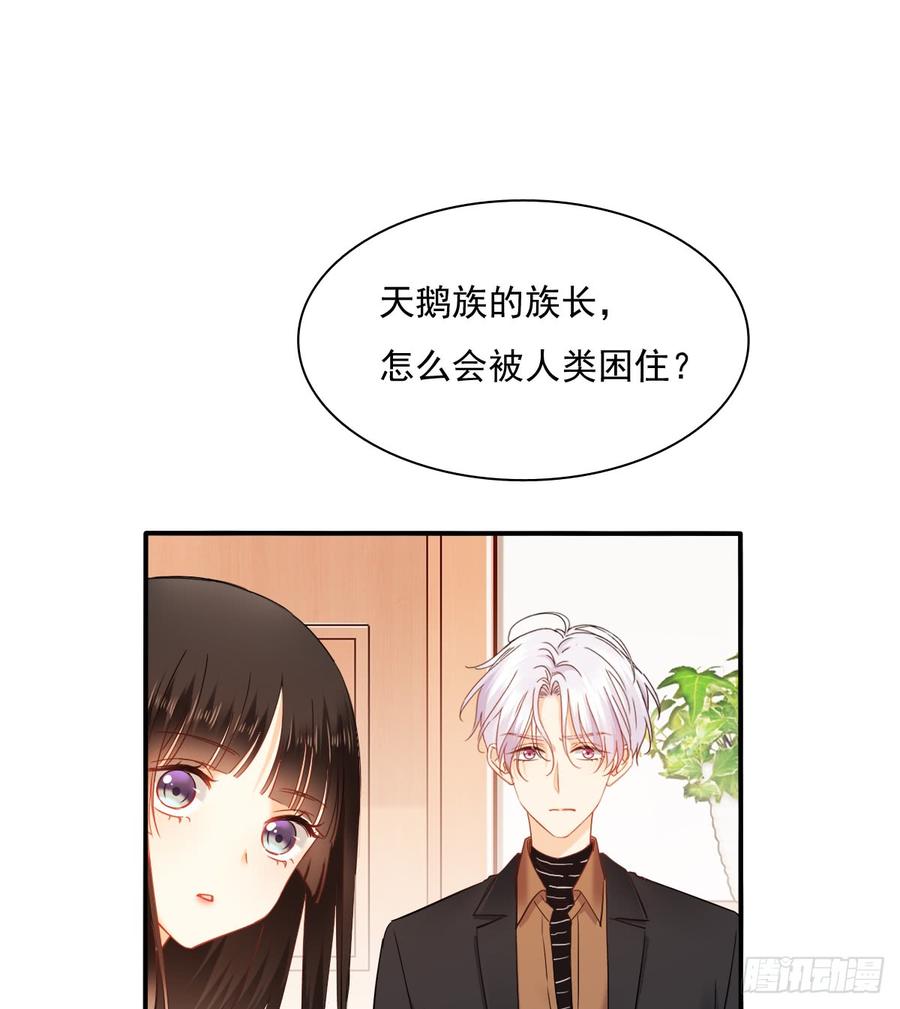 飞越千山来爱你韩漫全集-不见她踪影无删减无遮挡章节图片 