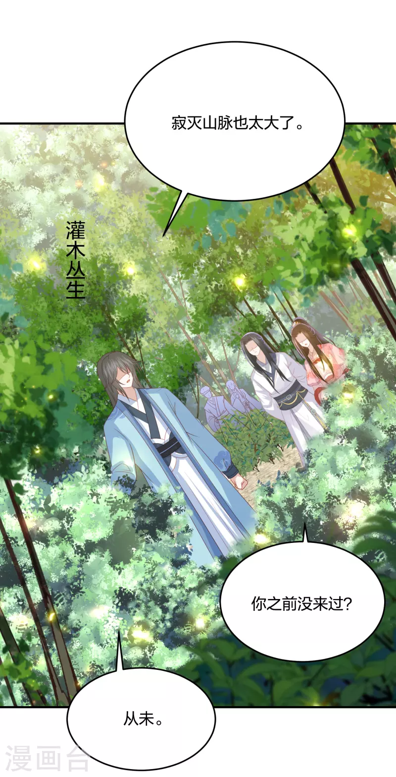 凤凰错:专宠弃妃韩漫全集-第203话 寂灭山脉无删减无遮挡章节图片 