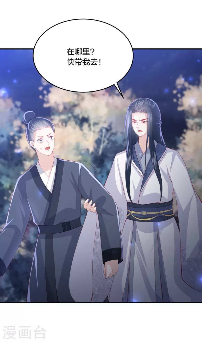 凤凰错:专宠弃妃韩漫全集-第223话 我相信他，他不会放弃我无删减无遮挡章节图片 
