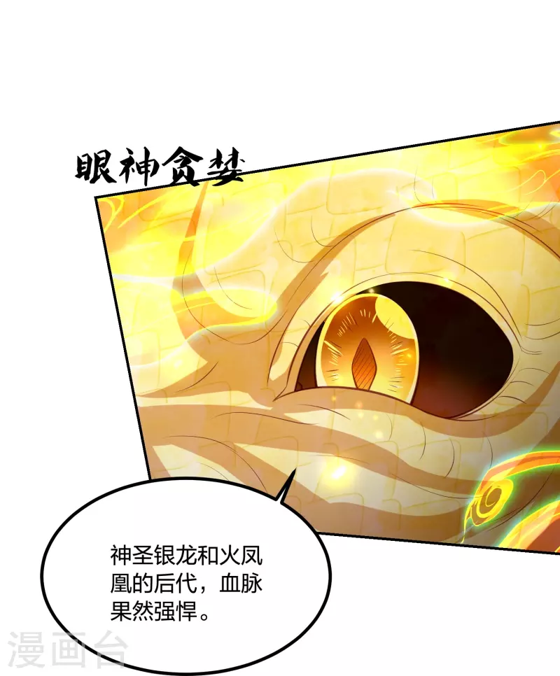 凤凰错:专宠弃妃韩漫全集-第247话 群龙大会无删减无遮挡章节图片 