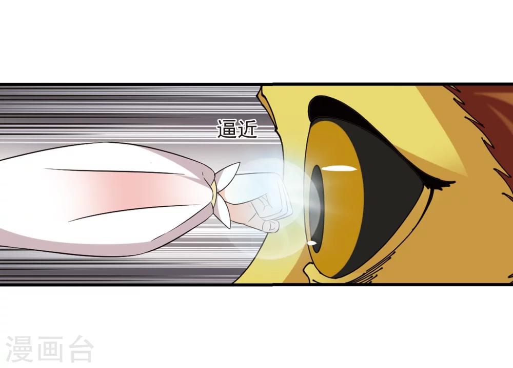 风起苍岚韩漫全集-第301话 孤注一掷2无删减无遮挡章节图片 